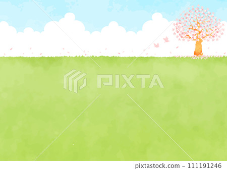 Landscape with fields and cherry trees 111191246