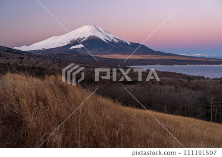 [山梨縣] 黎明時分的富士山/山中湖全景平台 111191507