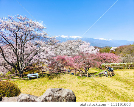 Okusajoshi Park (Spring) Okusajoshi Park (Spring) 111191603