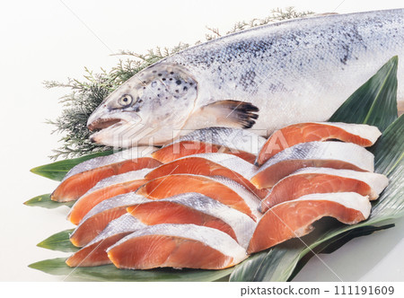 fresh salmon 111191609