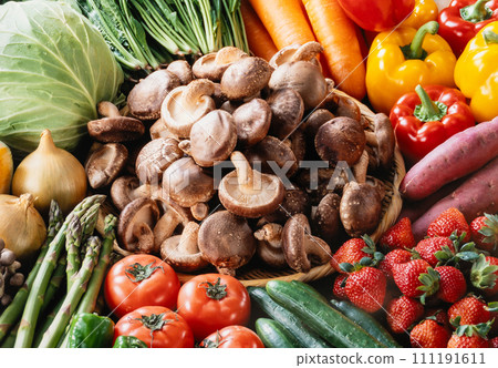 收集美味的蔬菜 111191611