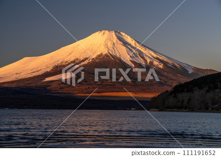 《Yamanashi Prefecture》 Benifu Fuji and the view of Lake Yamanaka at dawn 111191652