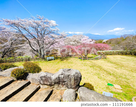 Okusajoshi Park (Spring) Okusajoshi Park (Spring) 111191666