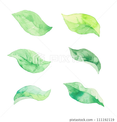 綠葉在風中跳舞，材料 111192119