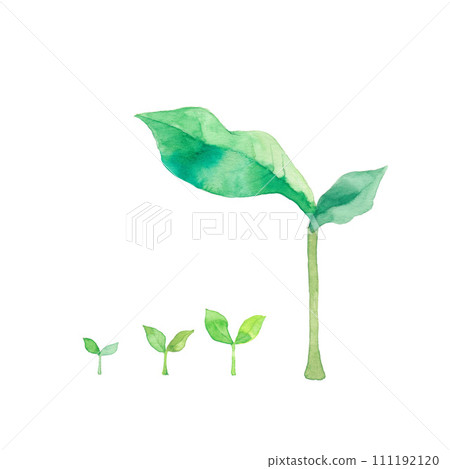 雙葉成長、材料 111192120