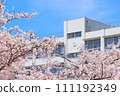School and cherry blossoms 111192349