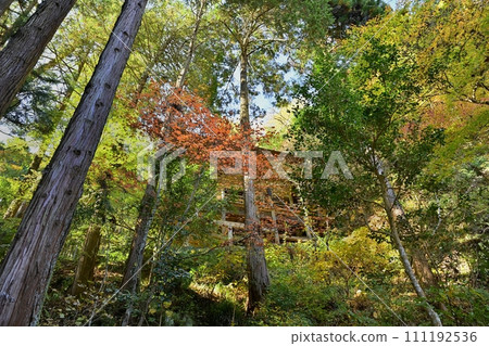 Kannon-do Hall seen from the approach from the main hall of Chichibu Temple No. 32 Hosho-ji Temple in autumn Kannon-do Hall seen from the approach from the main hall of Chichibu Temple No. 32 Hosho-ji Temple in autumn 111192536
