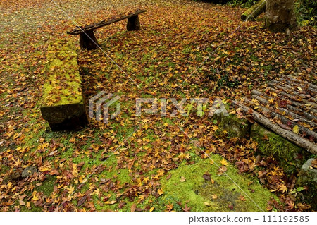 Bench on fallen ginkgo leaves in the precincts of Hoshoji Temple, Chichibu Temple No. 32 in autumn Bench on fallen ginkgo leaves in the precincts of Hoshoji Temple, Chichibu Temple No. 32 in autumn 111192585