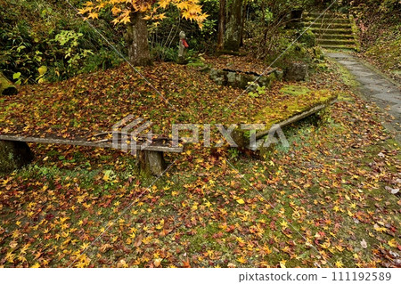 Bench on fallen ginkgo leaves in the precincts of Hoshoji Temple, Chichibu Temple No. 32 in autumn Bench on fallen ginkgo leaves in the precincts of Hoshoji Temple, Chichibu Temple No. 32 in autumn 111192589