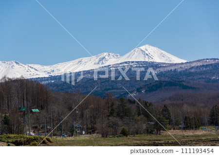 陽光明媚的春日稻田和雪山大雪山 陽光明媚的春日稻田和雪山大雪山 111193454