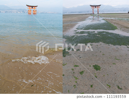 嚴島神社大鳥居的退潮與漲潮 111193559