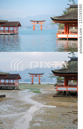 嚴島神社的退潮和漲潮、神社建築和大鳥居 111193560