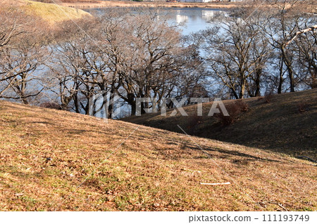 北海道東部釧路市春取湖 北海道東部釧路市春取湖 111193749