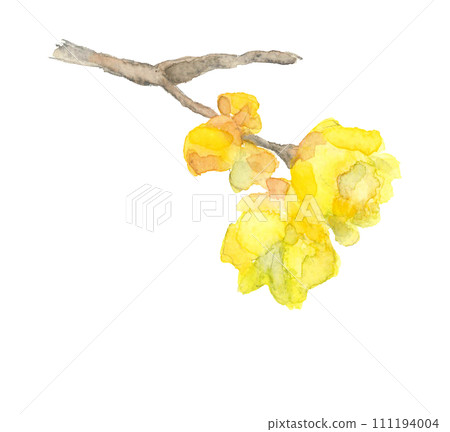 手繪水彩插圖的丁香花，白色背景，透明背景 111194004