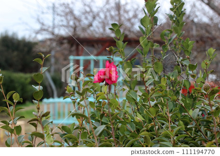 park and flowers 111194770