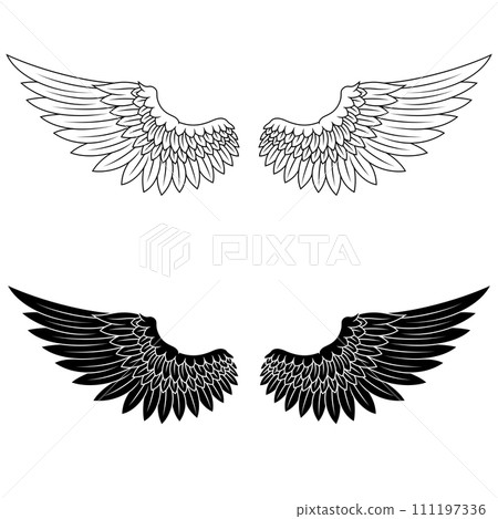Angel wings Angel wings 111197336