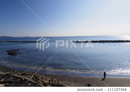 Narcissus Road (Nobi, Yokosuka City, Kanagawa Prefecture) 111197466