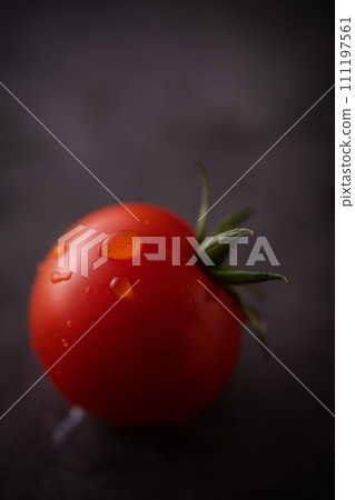 新鮮的迷你番茄 新鮮的迷你番茄 111197561