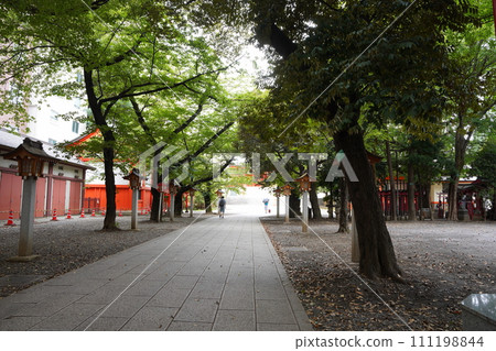 新宿區的花園神社 新宿區的花園神社 111198844