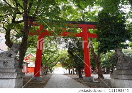 新宿區的花園神社 111198845