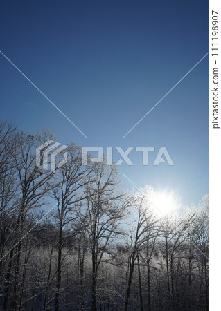 北海道仲冬的天空 111198907