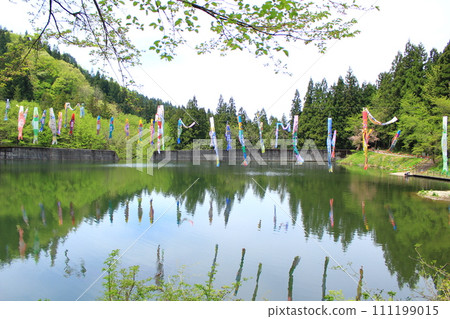 大崎水庫公園/鯉魚旗 大崎水庫公園/鯉魚旗 111199015