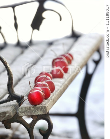 雪長椅上的蘋果 雪長椅上的蘋果 111199017