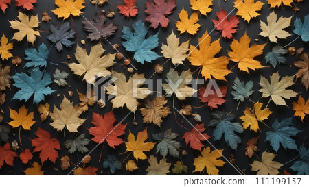 Autumnal plant leaves in different shapes and colors lined up next to each other 111199157