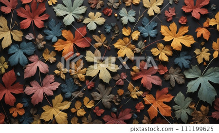 Autumnal plant leaves in different shapes and colors lined up next to each other 111199625