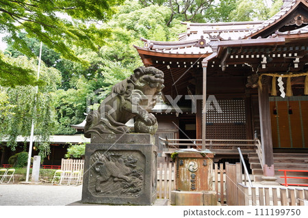 代代木八幡神社的守護犬 111199750