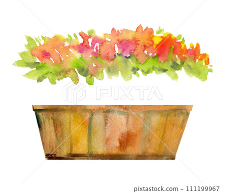 Hand drawn watercolor illustration spring gardening, decorative wooden box pot with flowers leaves. Single object isolated on white background. Design print, shop, scrapbooking, packaging, decoupage Hand drawn watercolor illustration spring gardening, decorative wooden box pot with flowers leaves. Single object isolated on white background. Design print, shop, scrapbooking, packaging, decoupage 111199967