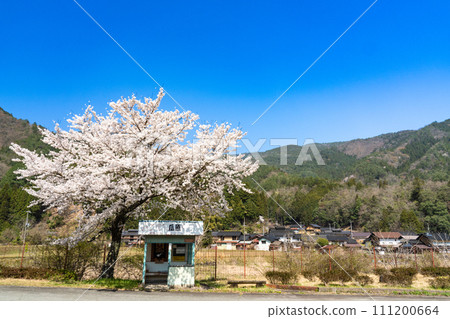[Important Preservation District for Groups of Traditional Buildings] Oyamachi Osugi Retro bus stop, Yoshino cherry trees and village 1 Yabu City, Hyogo Prefecture 111200664