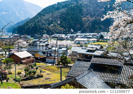 [Important Preservation District for Groups of Traditional Buildings] Oyamachi Osugi Village 1 seen from the approach to Ninomiya Shrine Yabu City, Hyogo Prefecture 111200677