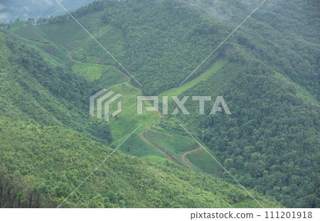 Landscape of plantation area among green forest on complicated hill in Nan province, northern of Thailand. Landscape of plantation area among green forest on complicated hill in Nan province, northern of Thailand. 111201918