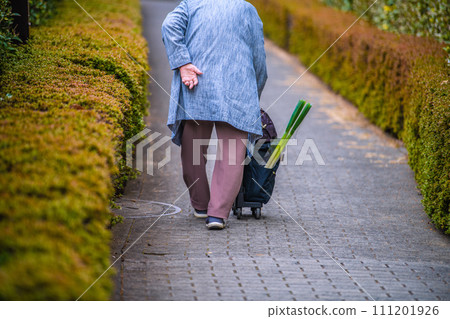 日本橫濱市容老化社會...購物歸來...大蔥...=在橫濱市 日本橫濱市容老化社會...購物歸來...大蔥...=在橫濱市 111201926