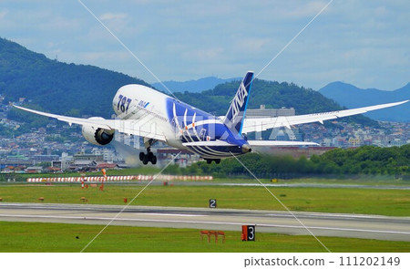 Boeing 787 special livery aircraft (at Itami Airport) 111202149