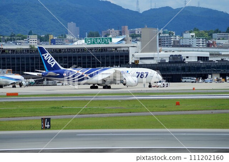 波音787專用塗裝飛機（伊丹機場） 111202160