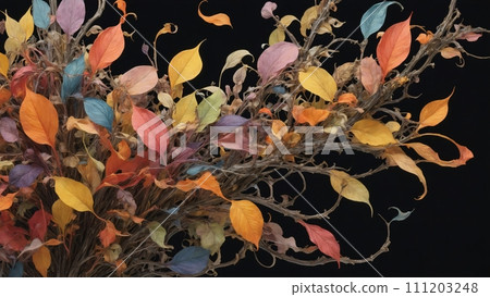 Colorfully arranged plant leaves and stems in different shapes and colors that dry out 111203248