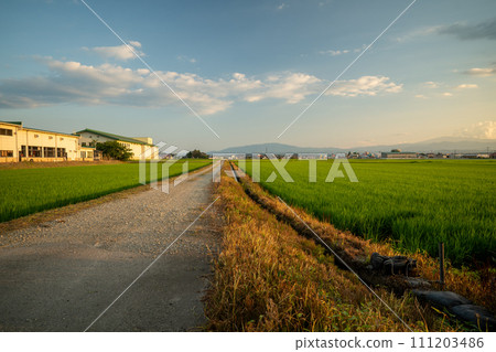 Summer Shinjo Basin Rural Scenery 111203486