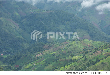 Landscape of rice field and plantation area among green forest on complicated hill in Nan province, northern of Thailand. Landscape of rice field and plantation area among green forest on complicated hill in Nan province, northern of Thailand. 111204134