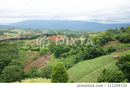 Aerial view landscape of plantation area and green trees on complicated hill in Nan province, northern of Thailand. Aerial view landscape of plantation area and green trees on complicated hill in Nan province, northern of Thailand. 111204138