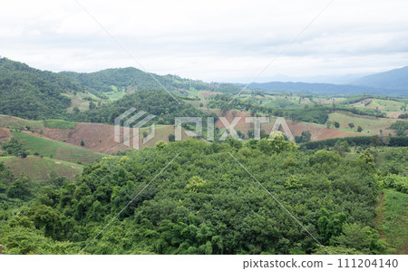 Aerial view landscape of plantation area and green trees on complicated hill  in Nan province, northern of Thailand. 111204140
