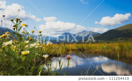 Summer Mogherland Summer Mogherland 111204419