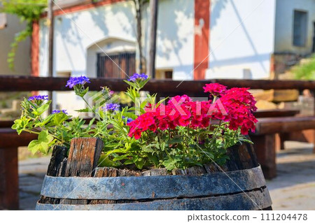 Old rustic wine barrel with flowers. Wine background in Europe. Czech Republic, South Moravia Old rustic wine barrel with flowers. Wine background in Europe. Czech Republic, South Moravia 111204478
