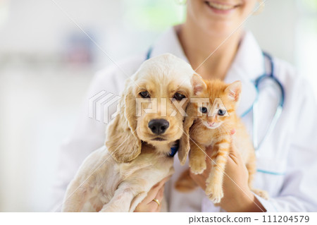 Vet with dog and cat. Puppy and kitten at doctor. 111204579