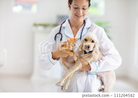 Vet with dog and cat. Puppy and kitten at doctor. Vet with dog and cat. Puppy and kitten at doctor. 111204582