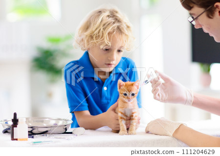 Vet with cat. Kitten at veterinarian doctor. Vet with cat. Kitten at veterinarian doctor. 111204629