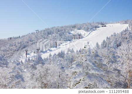 Winter scenery at Okushiga Kogen Ski Resort on a clear day 111205488