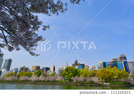 [大阪府]櫻花盛開和三月的大阪街景 111205831