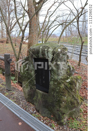 Wasabi Farm 111206032